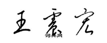 梁錦英王震宏草書個性簽名怎么寫
