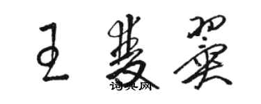 駱恆光王雙翼草書個性簽名怎么寫