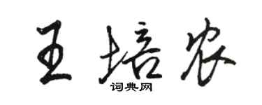 駱恆光王培農行書個性簽名怎么寫