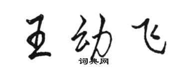 駱恆光王幼飛行書個性簽名怎么寫