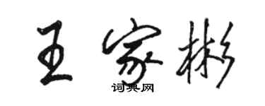 駱恆光王家彬行書個性簽名怎么寫