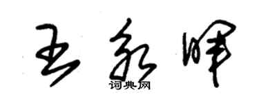 朱錫榮王永暉草書個性簽名怎么寫