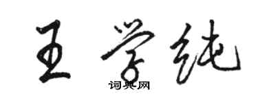 駱恆光王學純行書個性簽名怎么寫