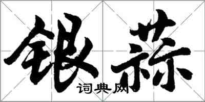 胡問遂銀蒜行書怎么寫