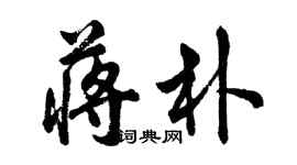 胡問遂蔣朴行書個性簽名怎么寫