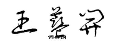 曾慶福王藍開草書個性簽名怎么寫