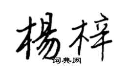 王正良楊梓行書個性簽名怎么寫