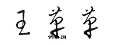 駱恆光王革革草書個性簽名怎么寫