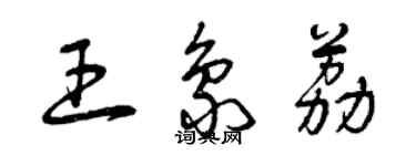 曾慶福王象荔草書個性簽名怎么寫