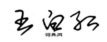 朱錫榮王白紅草書個性簽名怎么寫