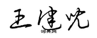 曾慶福王健兒草書個性簽名怎么寫