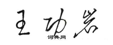 駱恆光王功岩草書個性簽名怎么寫