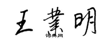 王正良王業明行書個性簽名怎么寫