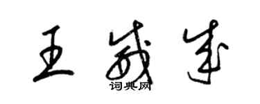 梁錦英王威成草書個性簽名怎么寫