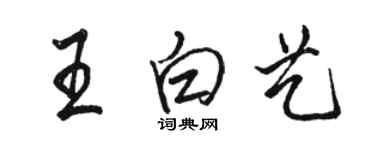 駱恆光王白藝行書個性簽名怎么寫