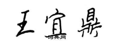 王正良王宜鼎行書個性簽名怎么寫
