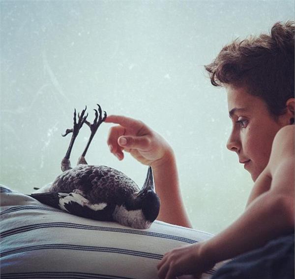 一隻跟主人同吃同睡的喜鵲 還擁有上千名冬粉