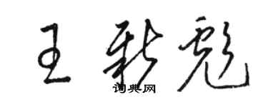 駱恆光王新彪草書個性簽名怎么寫