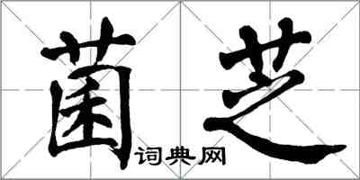 翁闓運菌芝楷書怎么寫