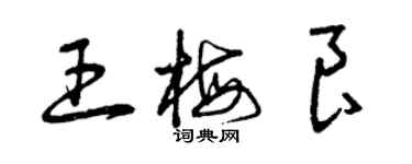 曾慶福王梅良草書個性簽名怎么寫