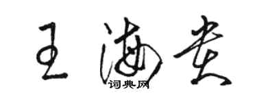 駱恆光王海貴草書個性簽名怎么寫