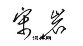 駱恆光宋岩草書個性簽名怎么寫