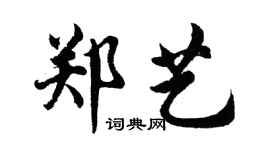 胡問遂鄭藝行書個性簽名怎么寫