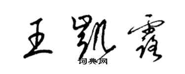 梁錦英王凱露草書個性簽名怎么寫