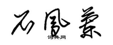 朱錫榮石鳳蘭草書個性簽名怎么寫
