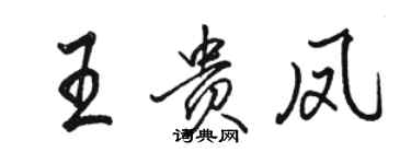 駱恆光王貴鳳行書個性簽名怎么寫