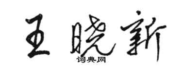 駱恆光王曉新行書個性簽名怎么寫