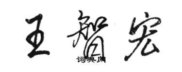 駱恆光王智宏行書個性簽名怎么寫