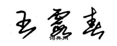 朱錫榮王霞春草書個性簽名怎么寫