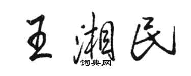 駱恆光王湘民行書個性簽名怎么寫