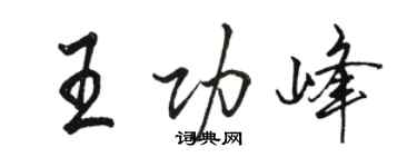 駱恆光王功峰行書個性簽名怎么寫