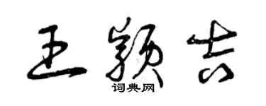 曾慶福王穎吉草書個性簽名怎么寫