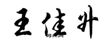 胡問遂王佳升行書個性簽名怎么寫