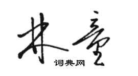 駱恆光林童草書個性簽名怎么寫