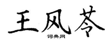 丁謙王風苓楷書個性簽名怎么寫