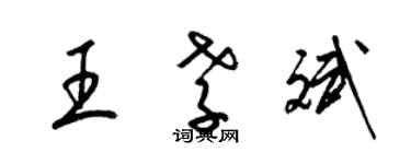 梁錦英王孝斌草書個性簽名怎么寫