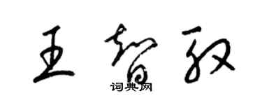 梁錦英王智殷草書個性簽名怎么寫