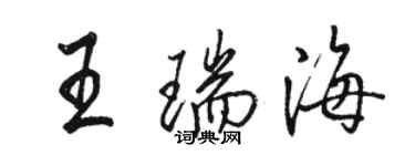 駱恆光王瑞海行書個性簽名怎么寫