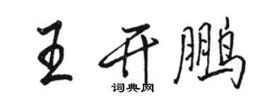駱恆光王開鵬行書個性簽名怎么寫