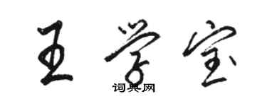 駱恆光王學寶行書個性簽名怎么寫