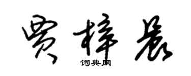 朱錫榮賈梓晨草書個性簽名怎么寫