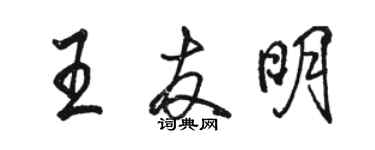 駱恆光王友明行書個性簽名怎么寫