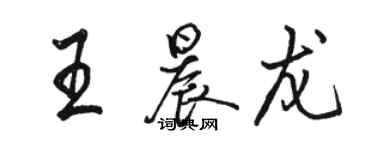 駱恆光王晨龍行書個性簽名怎么寫