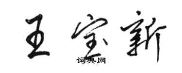 駱恆光王寶新行書個性簽名怎么寫