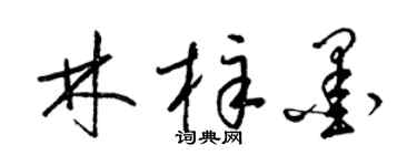 梁錦英林梓墨草書個性簽名怎么寫