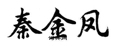 胡問遂秦金鳳行書個性簽名怎么寫